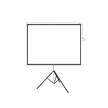 Экран на треноге Deluxe DLS-T244x183W (96"х72"), Ø - 120", Раб. поверхность 244х183 см. Экран на треноге Deluxe DLS-T244x183W (96"х72"), Ø - 120", Раб. поверхность 244х183 см.