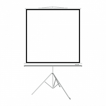 Экран на треноге Deluxe DLS-T180xW (70"х70")